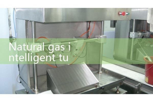 vane air flow sensor|gas flow meter
